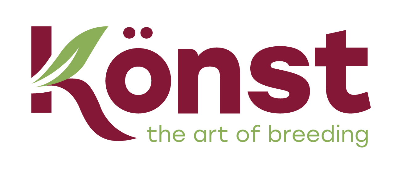 konst new logo (1).png